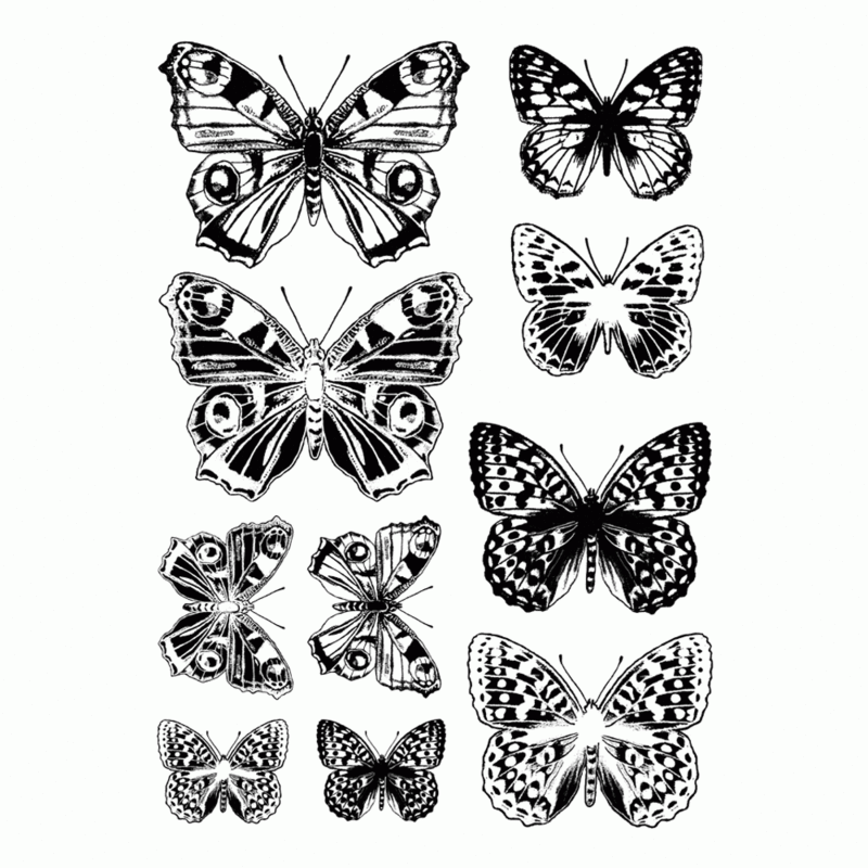 CI-437 Butterfly Pairs (Positive and Negative)